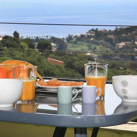Cap Corse Uribellinu 2 Formule Petit Dejeuner Santa-Maria-di-Lota Экстерьер фото